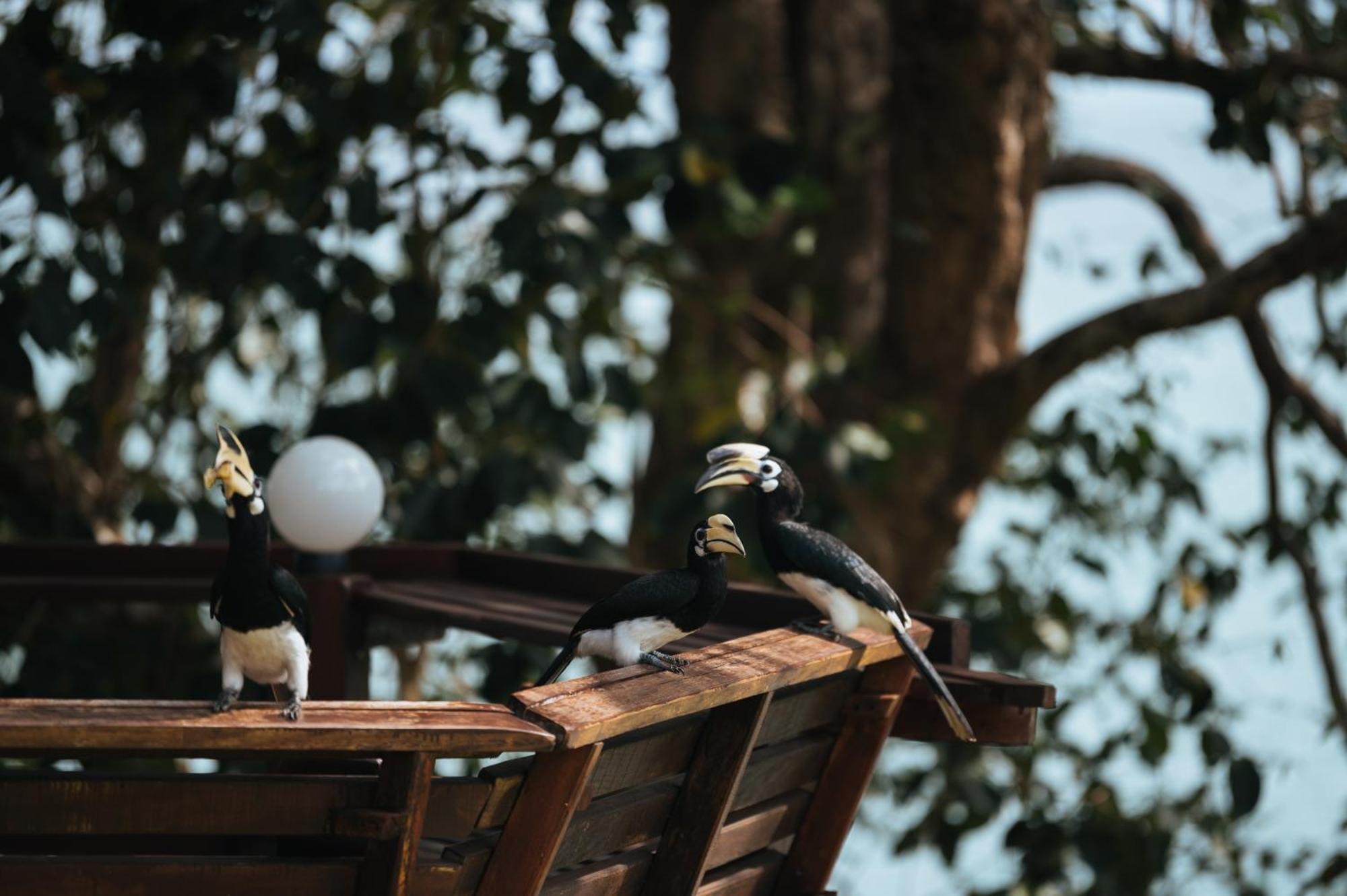 Phayamas Private Beach Resort And Island Brew - Adults Only Koh Phayam Bagian luar foto