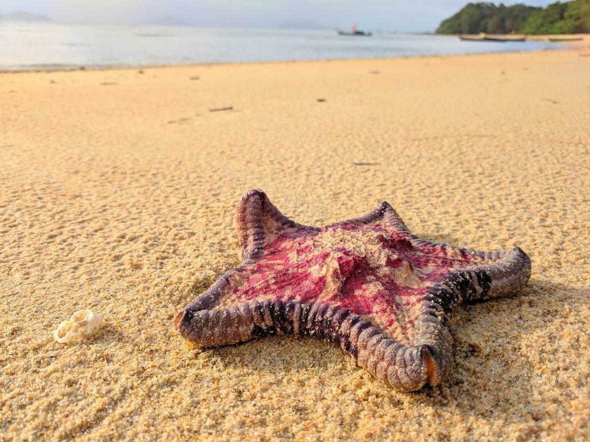 Phayamas Private Beach Resort And Island Brew - Adults Only Koh Phayam Bagian luar foto